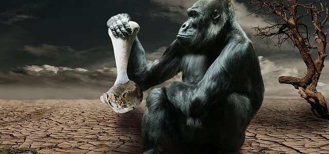 gorilla holding bone of dehydration victim